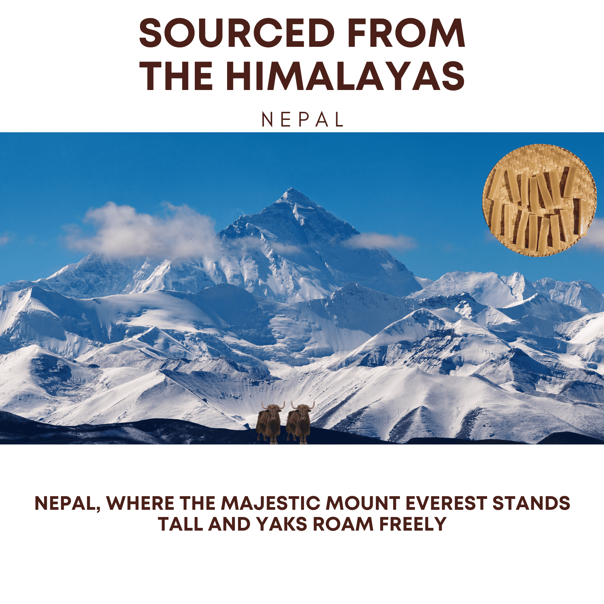 True Himalayan Yak Cheese Dog Chew,  Yak Cheese, Dog Chew, Natural, Long Lasting, Protein Rich, Medium-5pcs