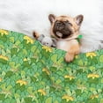 thumbnail image 3 of Sigee Cartoon Frog And Lotus Leaf for Pet Blanket for Dog Cat Puppy Blanket Cat Blankets for Small and Medium Pets-Small, 3 of 8