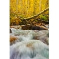 thumbnail image 2 of Geistweite, Mark 11x14 Black Ornate Wood Framed with Double Matting Museum Art Print Titled - Autumn Brook, 2 of 4
