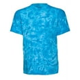 thumbnail image 1 of Dyénomite Turquoise 4580 S, 1 of 1