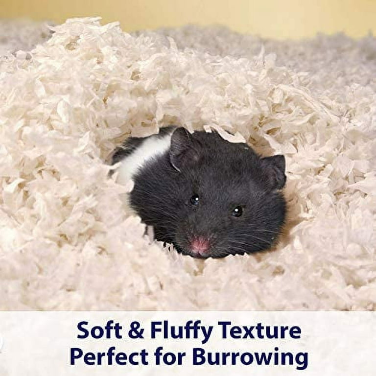 Walmart shop rat bedding