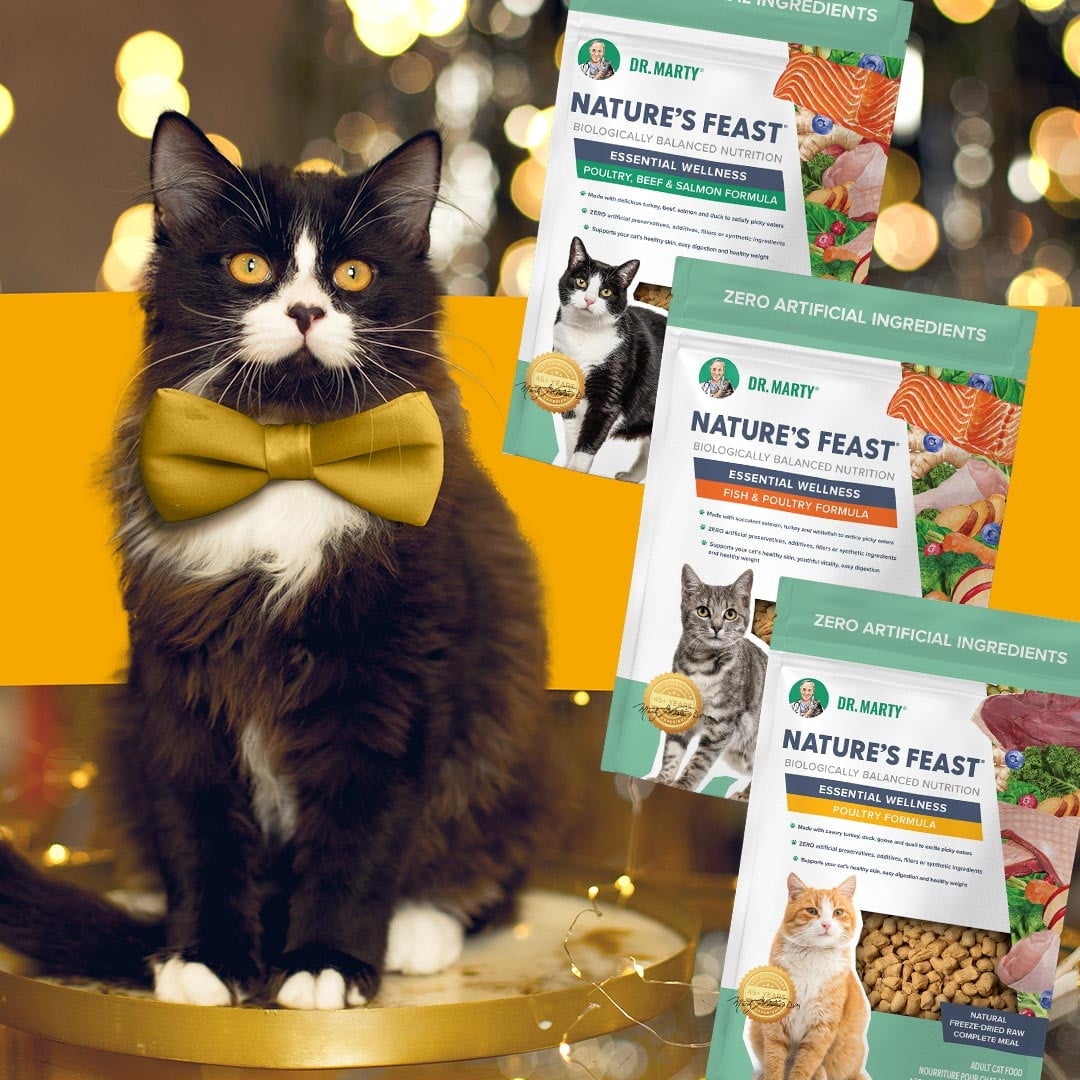 Dr. Marty Nature's Feast Cat Food, Freeze Dried Raw Cat Food with 87% Real Meat for Healthy Skin, Digestion & Vitality, 5.5 oz (Trial Size)