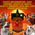 thumbnail image 2 of Turmeric Golden Paste Herbal Supplement Paste for Pets, 7 oz, 2 of 6