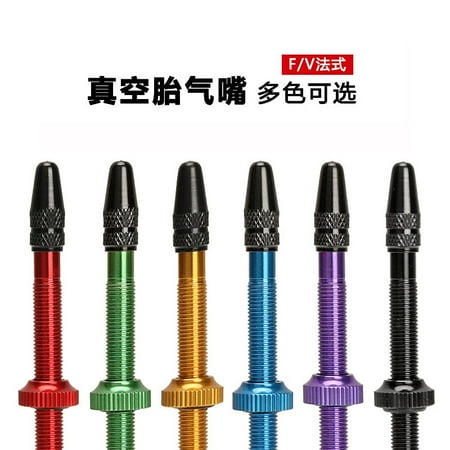 Mavic Alloy Valve Extension 60mm - Removable Valve Extender For Road Bike Wheels (11895201)