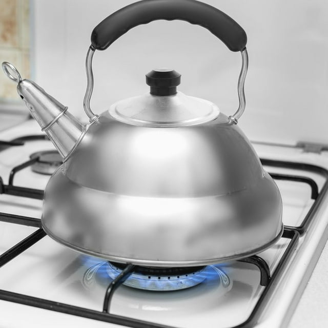 BESTYASH 1Ensemble Housse Rétro pour Bouilloire Argent Aluminium 5.1x5.1x2.4in Design Classique Usage Domestique
