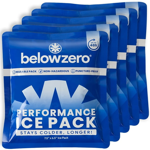 Paquetes de Hielo Reutilizables Below Zero para Neveras 48h (Paquete de 5)