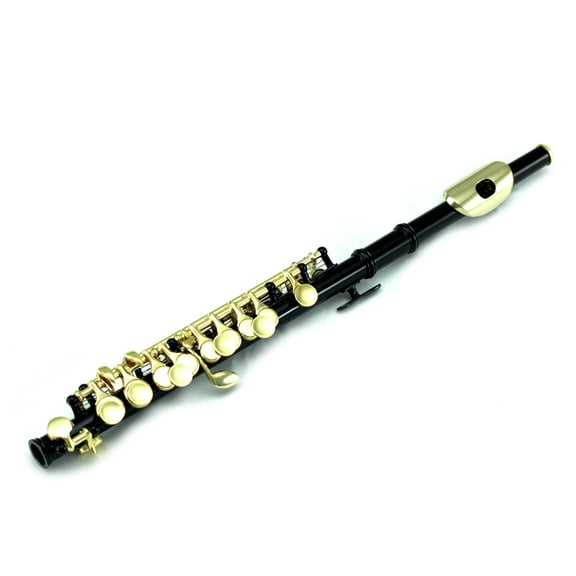 Sky(Paititi) Band Approved Black Laquer with Gold KeysPiccolo Key of C with Hard Case, Cloth, Cleaning Rod, Joint Greasae and Screw Driver