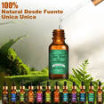 thumbnail image 3 of Kit De 12 Aceites Esenciales 100% Natural Para Difusor Y Spa Belug,  Multicolor, 3 of 5