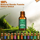 thumbnail image 2 of Kit De 12 Aceites Esenciales 100% Natural Para Difusor Y Spa Lab.G,  Multicolor, 2 of 4