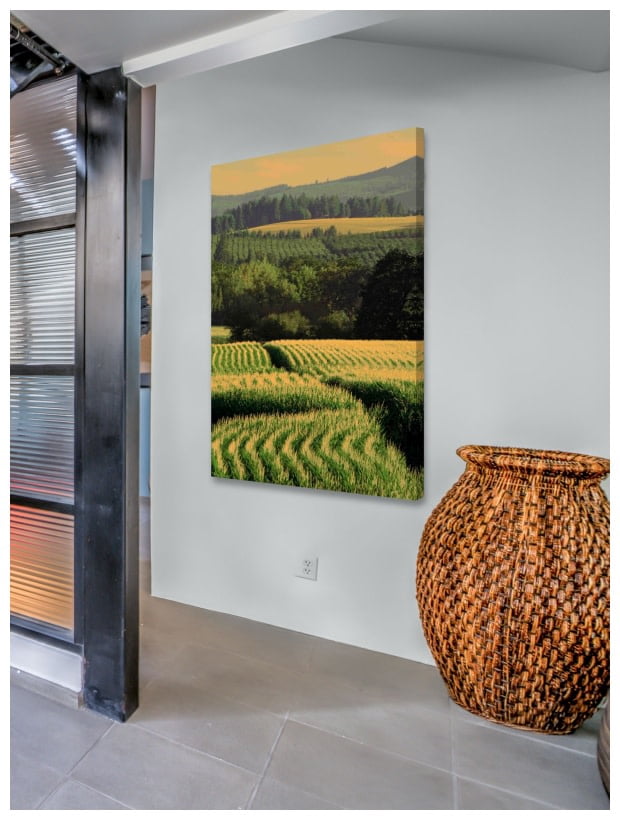 Marmont Hill "Corn Rows" Painting Print on Canvas