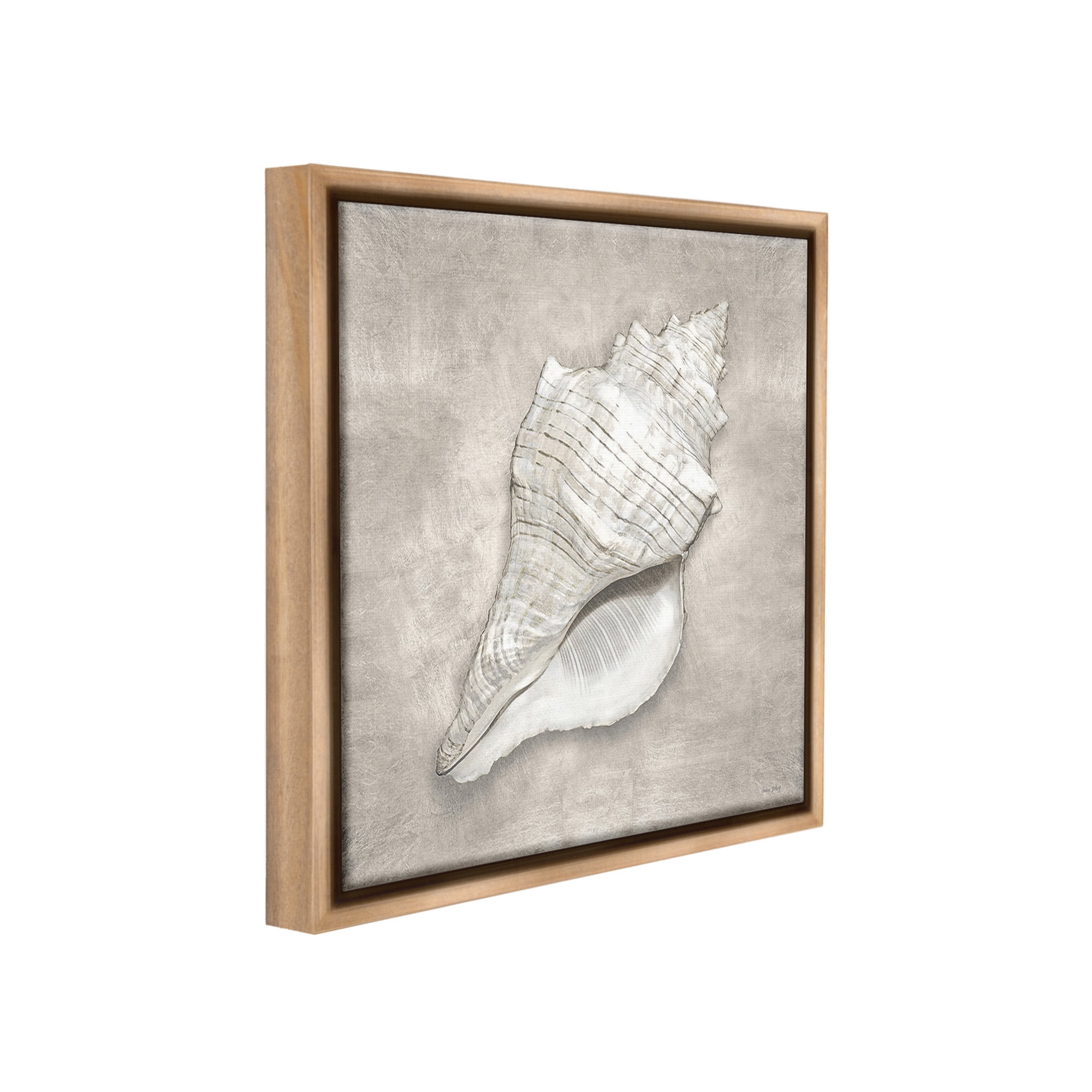 Stupell Industries Rustic Grey Conch Shell Nature Painting Brown Floater Framed Canvas Art Print Wall Art, 18 x 18