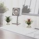 thumbnail image 3 of 6 Pcs Geometric Air Plant Holder Airplants Rack Metal Plants Stand, 3 of 5