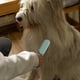 thumbnail image 4 of Greeniant Cepillo de pelo de mano para mascotas, de acero inoxidable, ropa de doble cara, removedor de pelusa, herramienta de aseo, autolimpieza, sofá, Suministros para perros No.01 Greeniant PT000744-01, 4 of 6