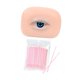 thumbnail image 3 of Modelo de ojo artificial de silicona suave para formación de esteticistas y principiantes en maquillaje. Izquierda, 3 of 9