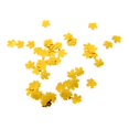 thumbnail image 1 of Confetti Wedding Birthday Decoration 15g - Oro Colcomx Confeti fiesta de brillo, 1 of 5