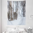 thumbnail image 1 of Animal Tapestry, European Lynx Snowy Cold Forest Norway Nordic Country Wildlife Apex Predator, Wall Hanging for Bedroom Living Room Dorm Decor, 60W X 80L Inches, Pale Brown White, by Ambesonne, 1 of 2