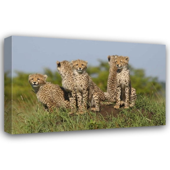 Susann Parker 18x13 Gallery Wrapped Canvas Wall Art Titled - The Tribe