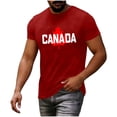 thumbnail image 4 of Mens Big & Tall Short Sleeve T-Shirts Graphic Crewneck Casual Printed Tee Summer Beach Hawaiian Vintage Shirts Size M-4XL Wine, 4 of 7