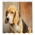 thumbnail image 2 of Ambesonne Funny Shower Curtain, Beagle Dog Animal Theme Print, 69"Wx70"L, Pale Cinnamon Dimgray, 2 of 4