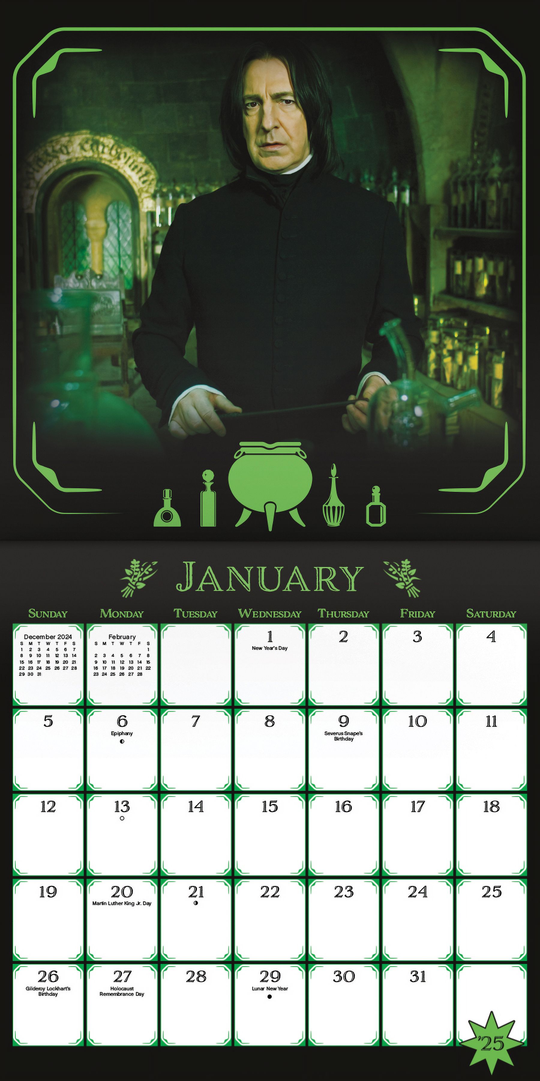 2025 Harry Potter Wall Calendar - 12x12 Inch, Monthly Pages With Magical Art, Includes Last 4 Months Of 2024