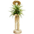 thumbnail image 5 of Okwish Plant Holder Wooden Doll Planting Support Frame Ornaments Display Decoration Garden Adjustable 17Cm Air Pineapple Stand, 5 of 24