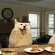thumbnail image 2 of Sombrero de vaquero para mascotas, para gatos y perros, decoración para fiestas, 2 of 8