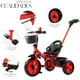 thumbnail image 2 of Triciclo Tipo Carreola Shendy Vendy Portatil Plegable Reclinable 2 En 1, 2 of 8