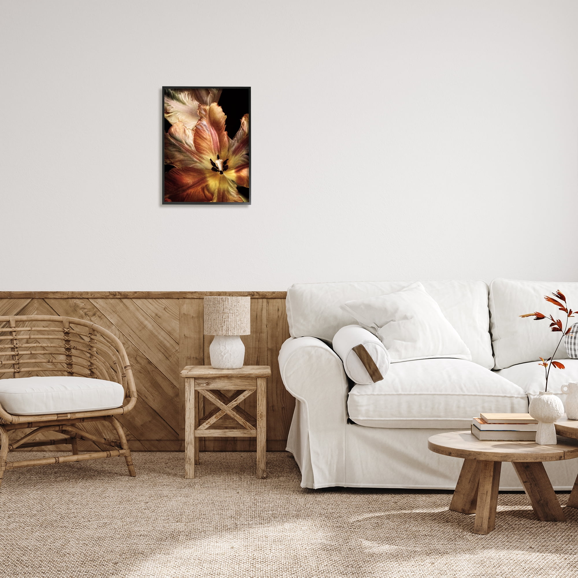 Stupell Industries Tulip Petals Detail Botanical & Floral Photography Black Framed Art Print Wall Art, 16 x 20