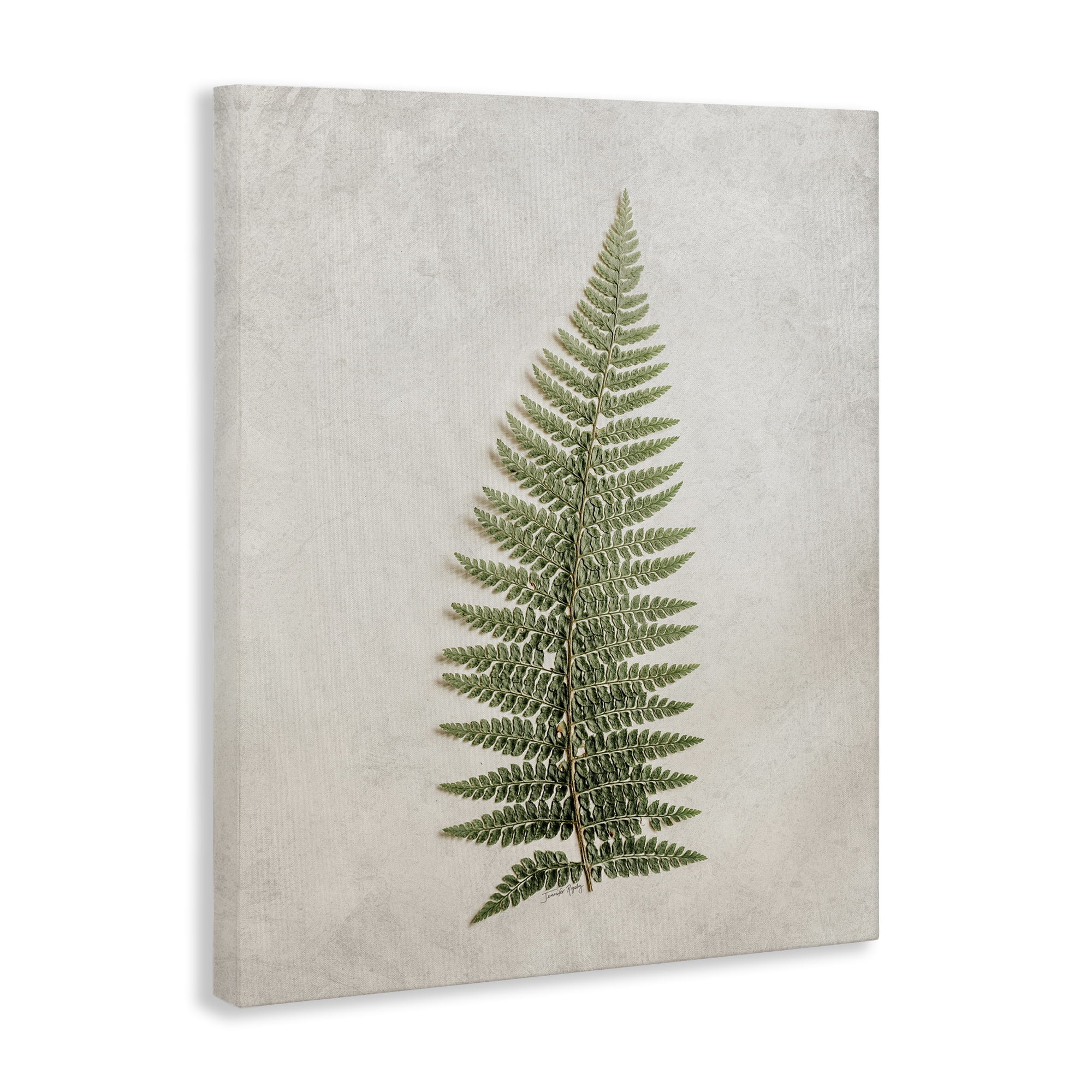Stupell Industries Detailed Fern Frond Botanical & Floral Painting Gallery Wrapped Canvas Art Print Wall Art, 30 x 40