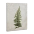 thumbnail image 4 of Stupell Industries Detailed Fern Frond Botanical & Floral Painting Gallery Wrapped Canvas Art Print Wall Art, 24 x 30, 4 of 8