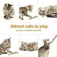 thumbnail image 2 of SharkTRUE 10Pcs Natural Silvervine Dental Sticks for Cats, Natural Cat Chews for Dental Health, Catnip Alternative Chew Toys, 2 of 8