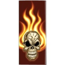 4g Mini Nano Photo Video - Mightyskins Protective Vinyl Skin Decal Cover for Apple iPod Nano 4G (4th Generation) wrap sticker skins