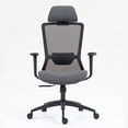 thumbnail image 5 of Newboti Furniture High Back Mesh Office Chair:8322H-BK BN.8381, 5 of 9