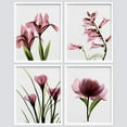 thumbnail image 2 of PixonSign Framed Wall Art X-Ray Pink Botanical Floral Flower Prints, Set of 4 Rustic Wildflowers Paintings, Country/Farmhouse Minimalism Adhesive Canvas Posters for Home Decor - 8"x10" White, 2 of 5