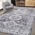 thumbnail image 2 of HOMERRY Area Rug 4' x 6' Machine Washable Area Rug Indoor Vintage Rug 4' x 6' Persian Rug Bohemian Area Rug for Living Room Bedroom, Grey, 2 of 5