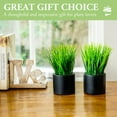 thumbnail image 3 of Tabletop Artificial Grass Plants Decorative Faux Greenery Plant Potted in Modern Cylindrical Black Cement Pots, Set of 2, 3 of 5