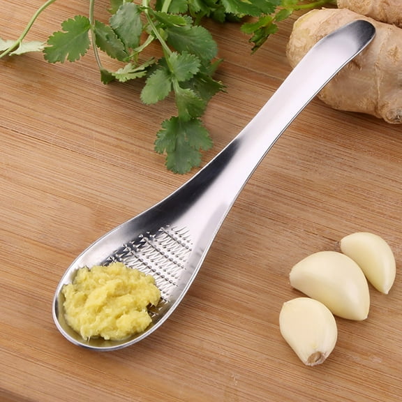 Conditiclusy Household Portable Stainless Steel Ginger Grater Garlic Lemon Grinding Spoon