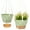 GREEN, variant on 2 Pack 10 inch Plastic Green Hanging Planters with 3 Hooks,Hanging Plant Pot Basket with Drainage Hole for Garden Home