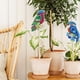 thumbnail image 4 of Cuadros Decorativos 2 piezas diamante pintura flor planta decoración palo Animal bordado adornos Tmvgtek embutido en tela, 4 of 7