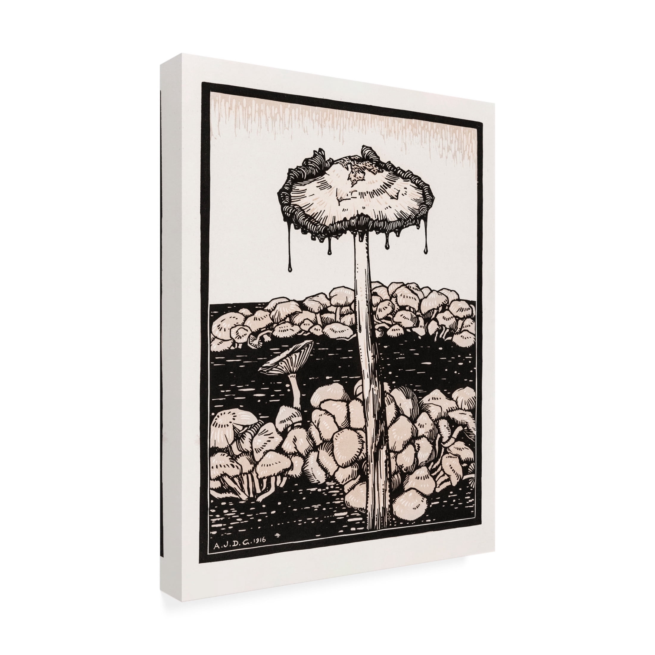 Trademark Fine Art Pictufy Dripping Mushroom 1916 Canvas Wall Art