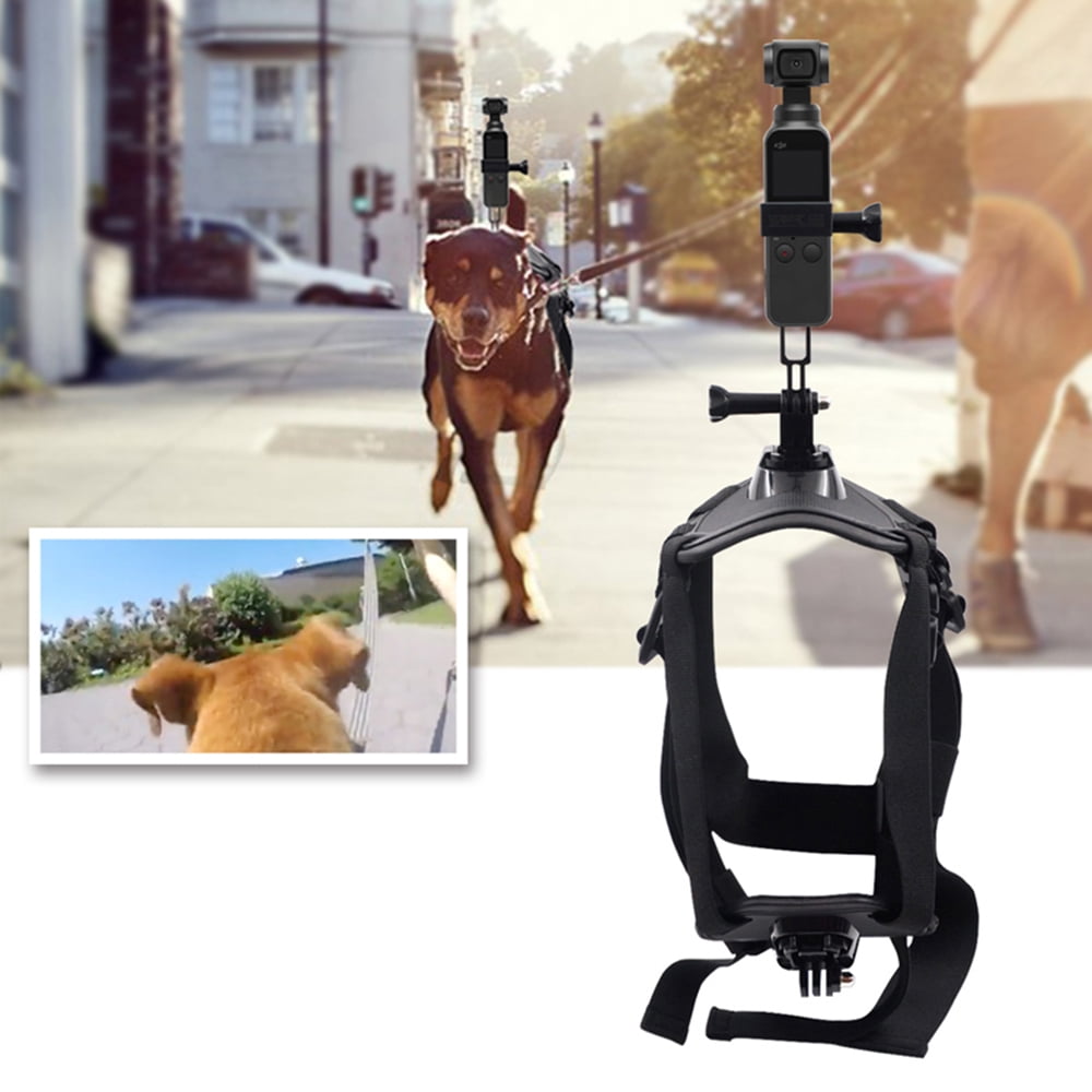 Dog mounts sales