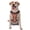 With Accessories, variant on Vsdgher Hedgehog Mushroom Pattern Dog Harness,No Pull Pet Harness with Soft Padded Handle,Adjustable Reflective Vest with 2 Buckles,4 Slide Buckles,S-XL