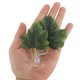 thumbnail image 2 of Cama única para peces Betta, cama de hoja Betta, hamaca de plástico para Betta, almohadilla de hamaca para Betta con ventosa verde, 2 of 7