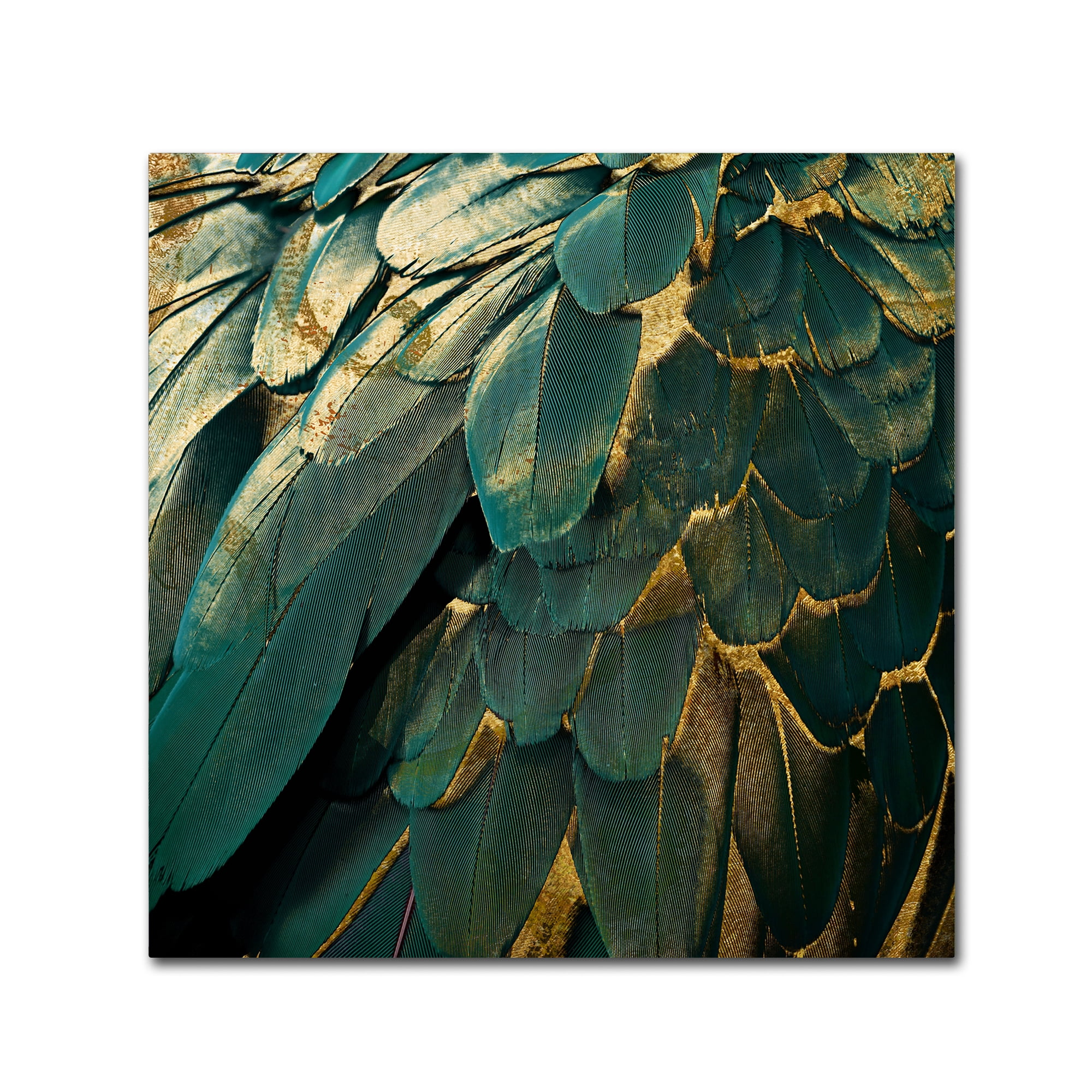 Trademark Fine Art "Feather Glitter" Canvas Art by Color Bakery