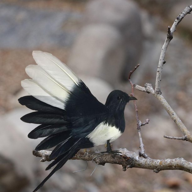 Magpie Simulation Bird Animal Bird Figurine Statue for Yard Art