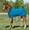 Teal, variant on UltraFlex Foal Saver Lightweight Blanket | Teal | Size Large (Quarter Horse)