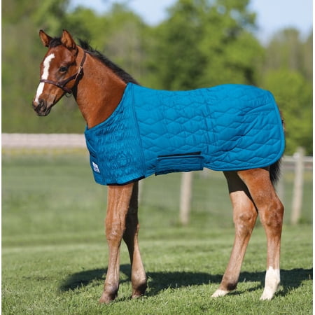 UltraFlex Foal Saver Lightweight Blanket | Teal | Size Small (Arabian)