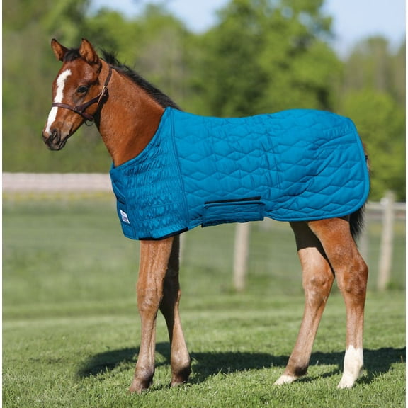UltraFlex Foal Saver Lightweight Blanket | Teal | Size Small (Arabian)
