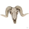 thumbnail image 1 of 2x Decoración La Cabeza Del Animal Del Cráneo Del Imitación l Cráneo Decoración, 1 of 9
