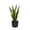 Black, variant on STONE LITE 11.6" x 11.6" x 11" Cylindrical White Plastic Plant Pot with Drainage